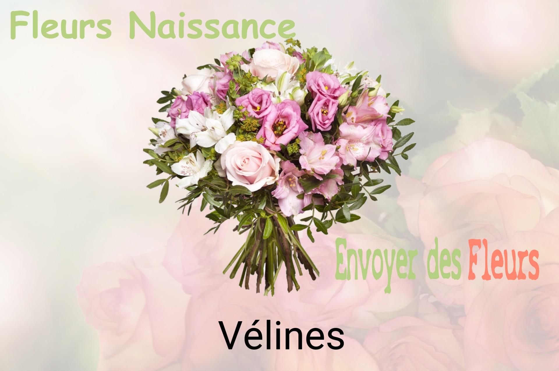 Bouquet de fleurs de naissance livré à Vélines