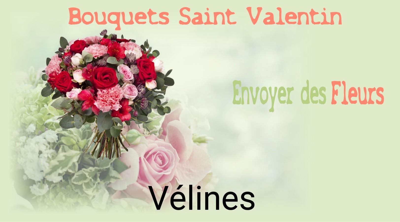 Roses de Saint-Valentin livrées à Vélines