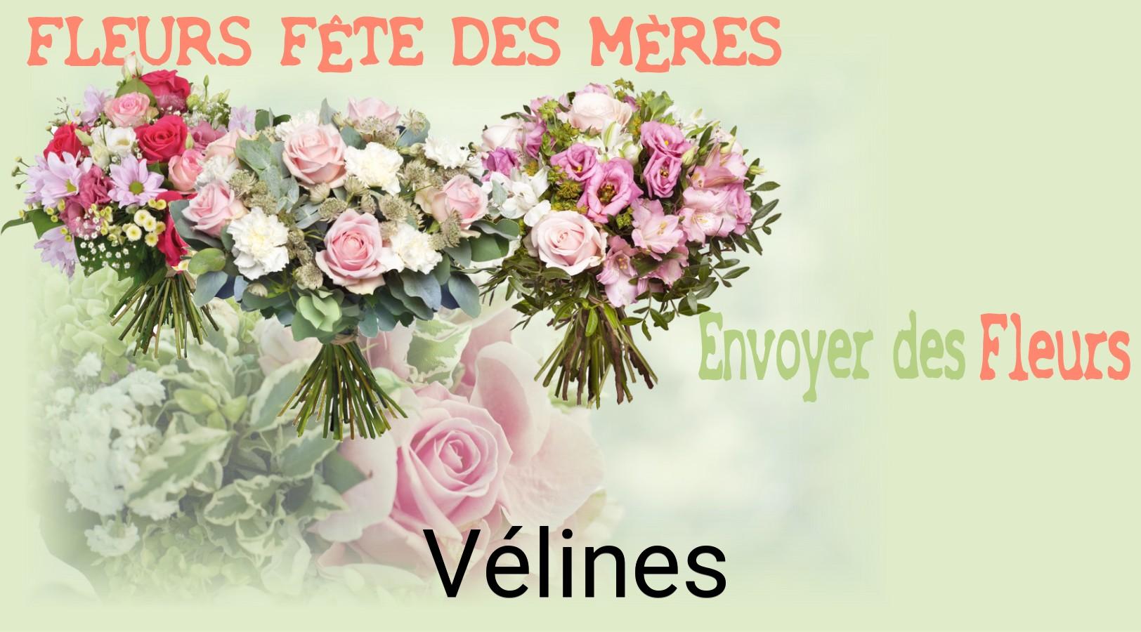Bouquet de Fête des Mères livré à Vélines